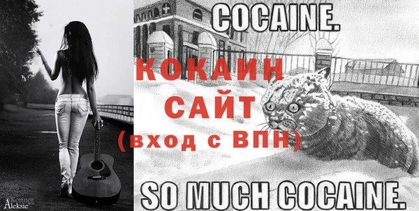 ECSTASY Вяземский