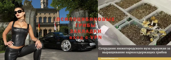 ALPHA PVP Горнозаводск